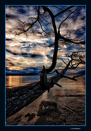 Washington Park at Sunset #2