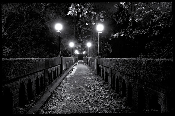 Old Arboretum Bridge