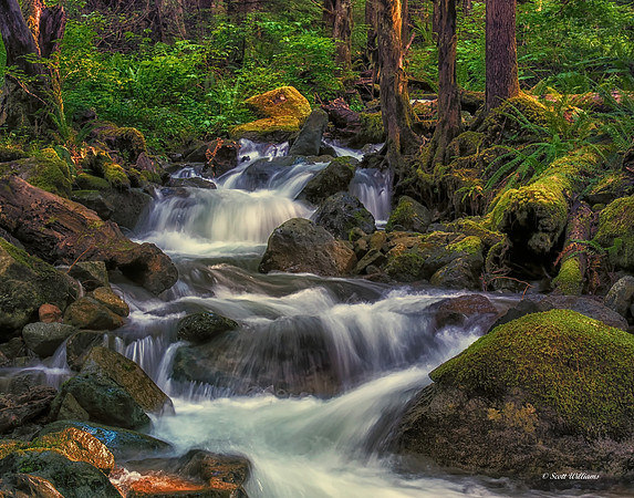 Solitude in the North Cascades #1