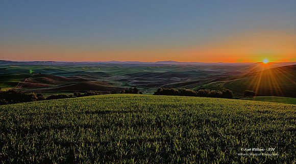 Palouse Country 2014 #10