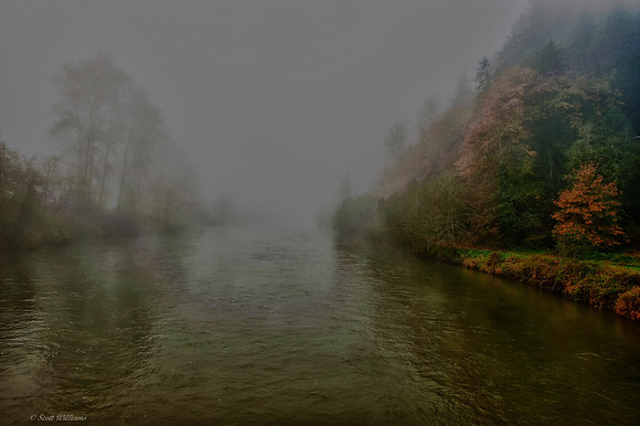Fog on the Tolt River