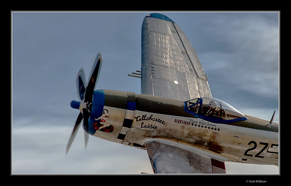 Republic P-47D Thunderbolt  #2 Crop