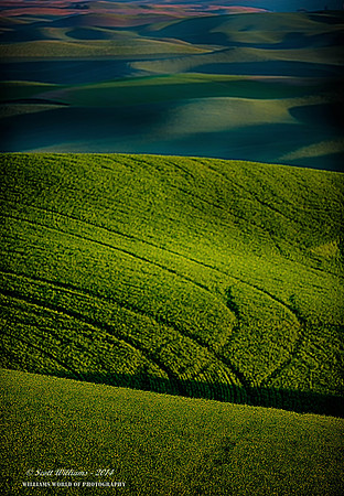 Palouse Country 2014  #6