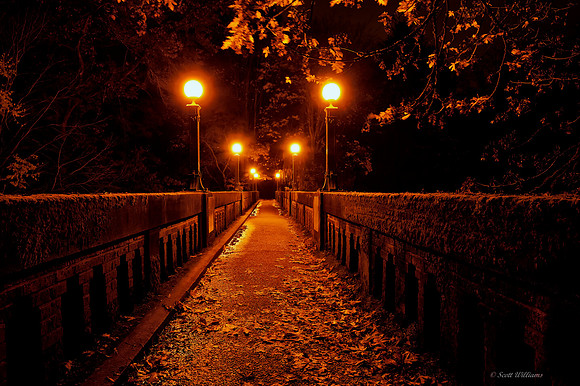 Old Arboretum Bridge