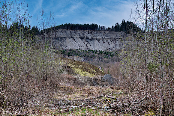 2024.03.22_OSO 10 Year Anniversary.e12c.sw.Sweb