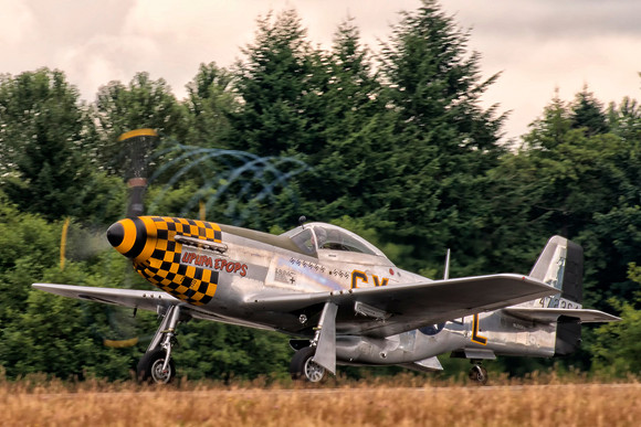 American P-51D UPUPA EPOPS