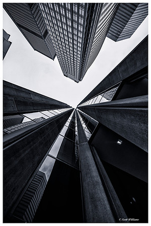 Seattle Skyscrapers #2