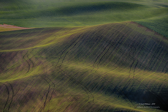 Palouse Country 2014 #8